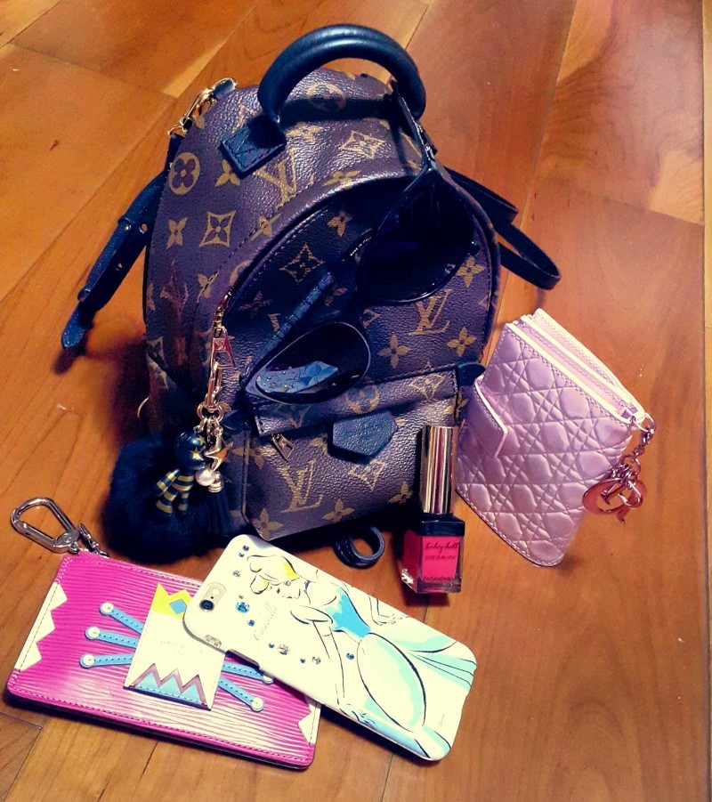 What's in my Bag  Disney Parks Edition + Louis Vuitton Palm Springs Mini 