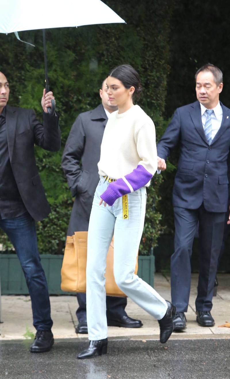 kendall jenner hermes bag