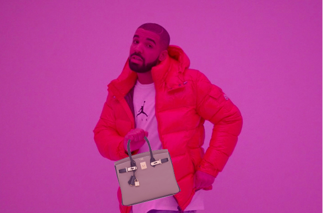 drake hermes birkin