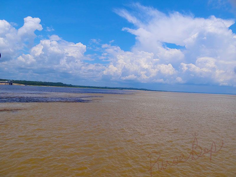 BrazillianBop-MeetingoftheWatersonTheAmazonriver (3)