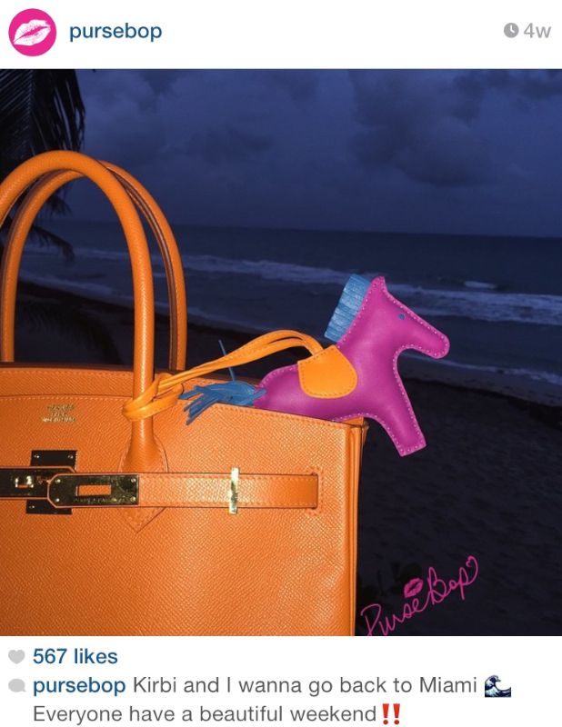 Hermes- The Color Expert! - PurseBop