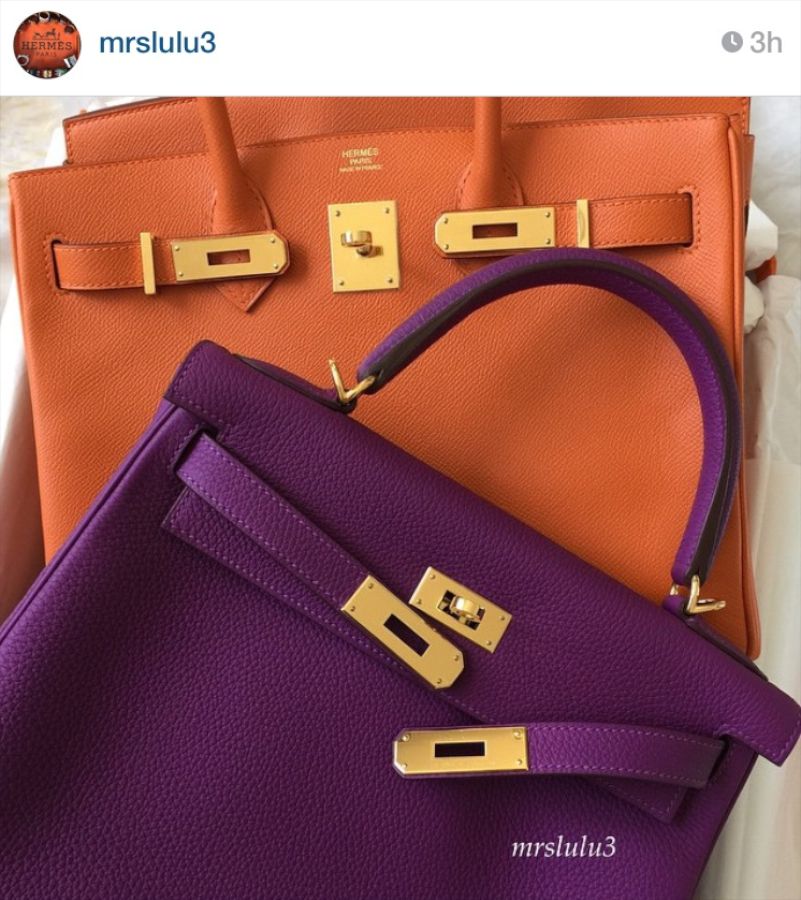 Move Over Kelly, There is a New Birkin in Town - PurseBop