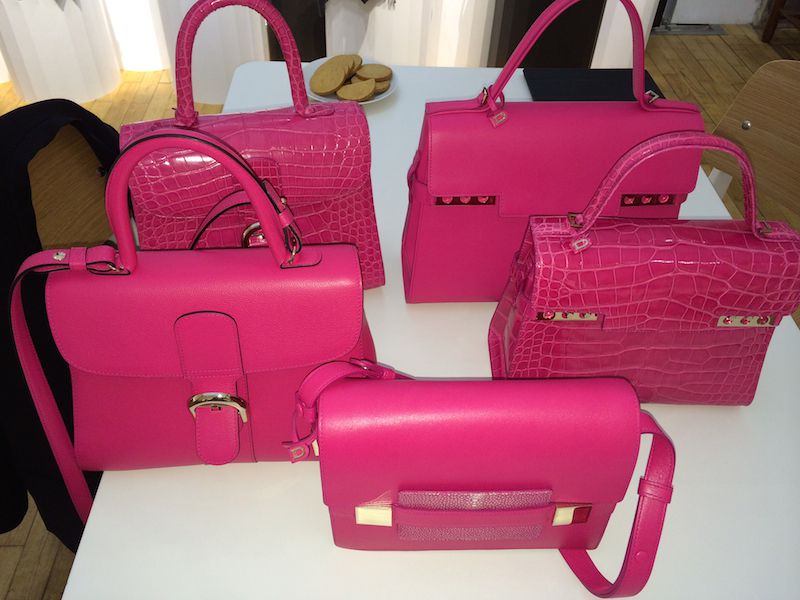 Delvaux crocodile deals bag price