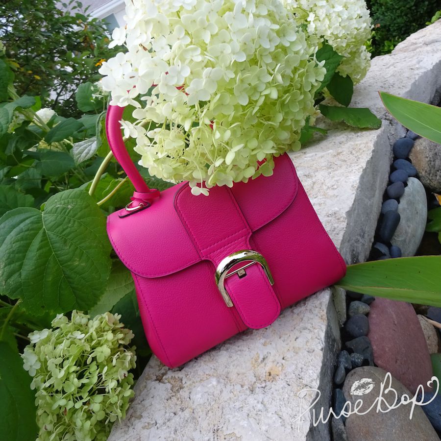 Brillant leather mini bag Delvaux Pink in Leather - 32036705