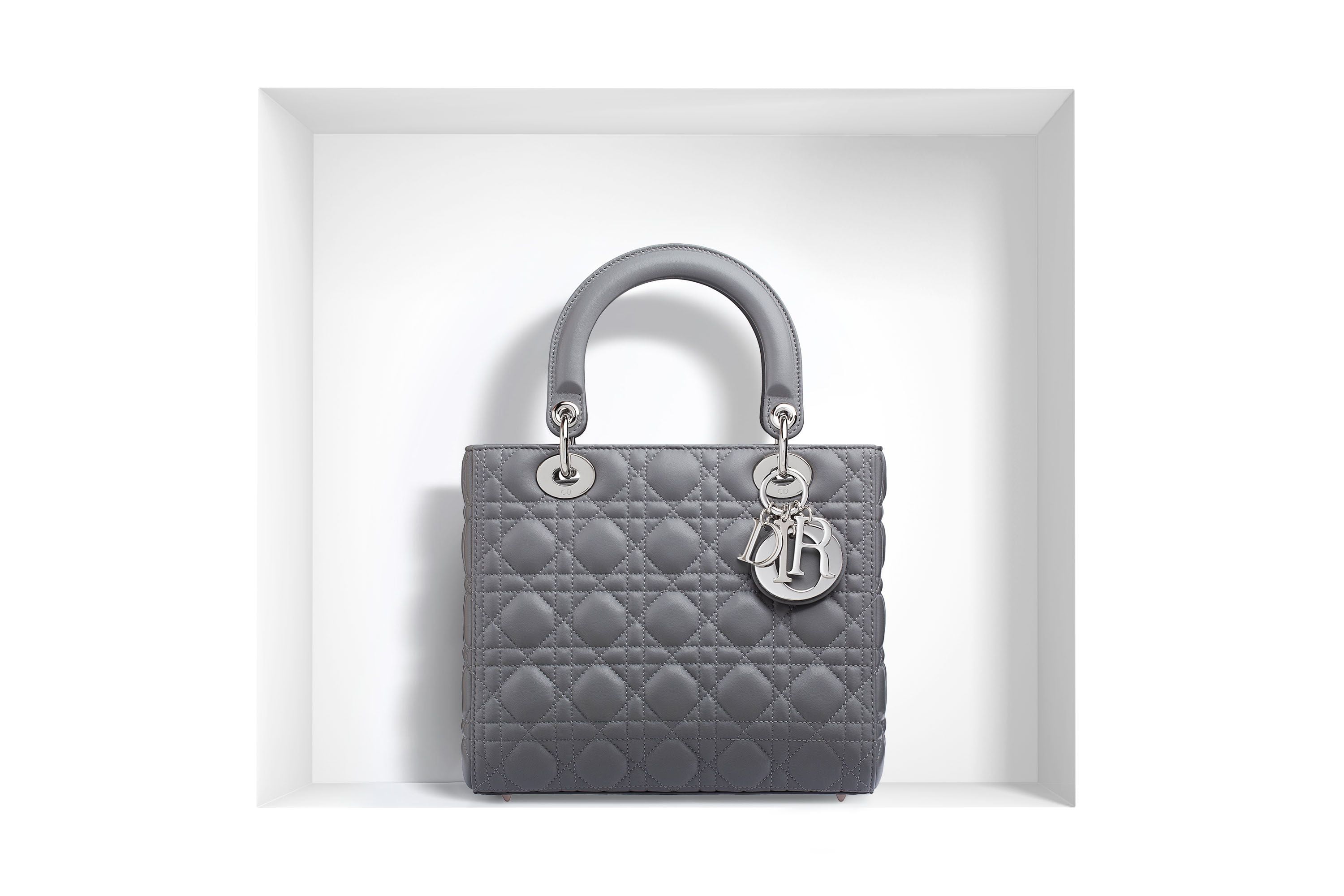 Lady Dior Bag Reference Guide - Spotted Fashion