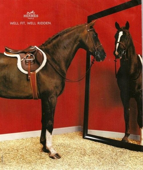 Hermes-Equestrian-Fashion