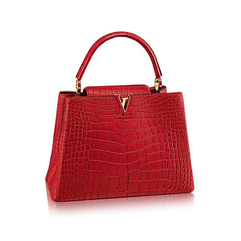 Louis Vuitton Releases $5,000 Capucine Bag – StyleCaster