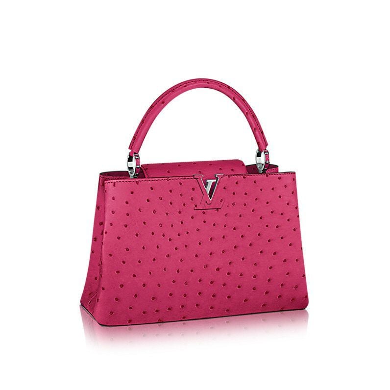 Louis Vuitton Releases $5,000 Capucine Bag – StyleCaster