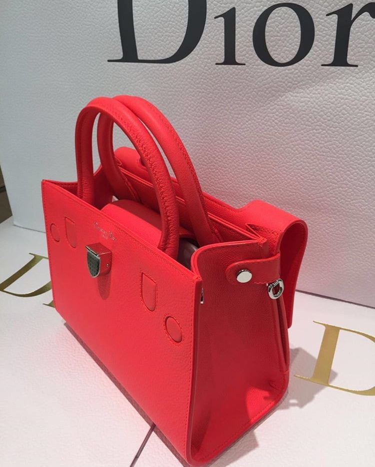 The Diorever Mini: Definition of Adorable - PurseBop