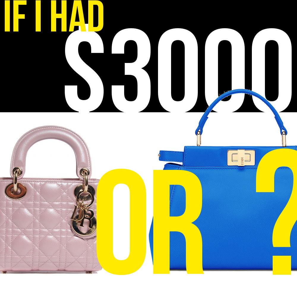 If You Had $3000, What Bag Would You Buy?