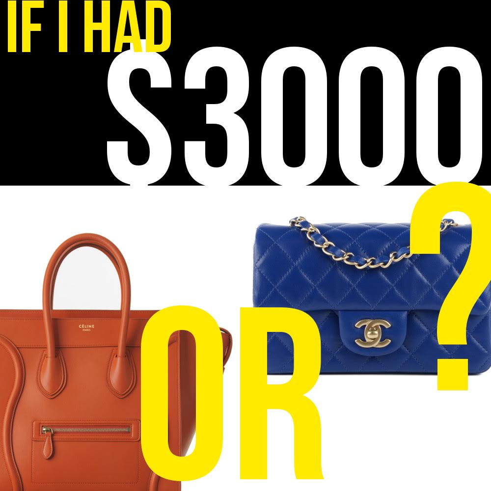 If You Had $3000, What Bag Would You Buy?