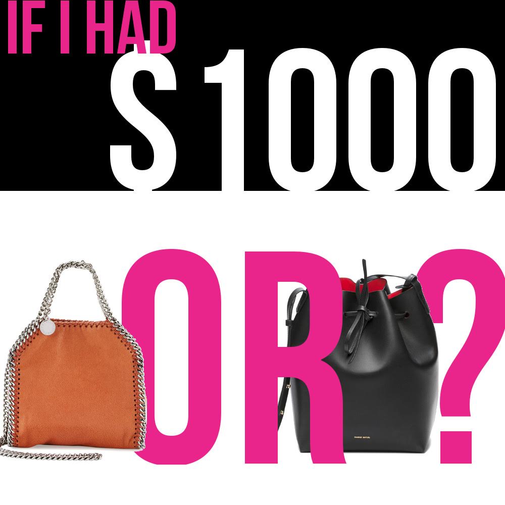 Spend $1,500 or Save for Bags at $3,000 - PurseBop