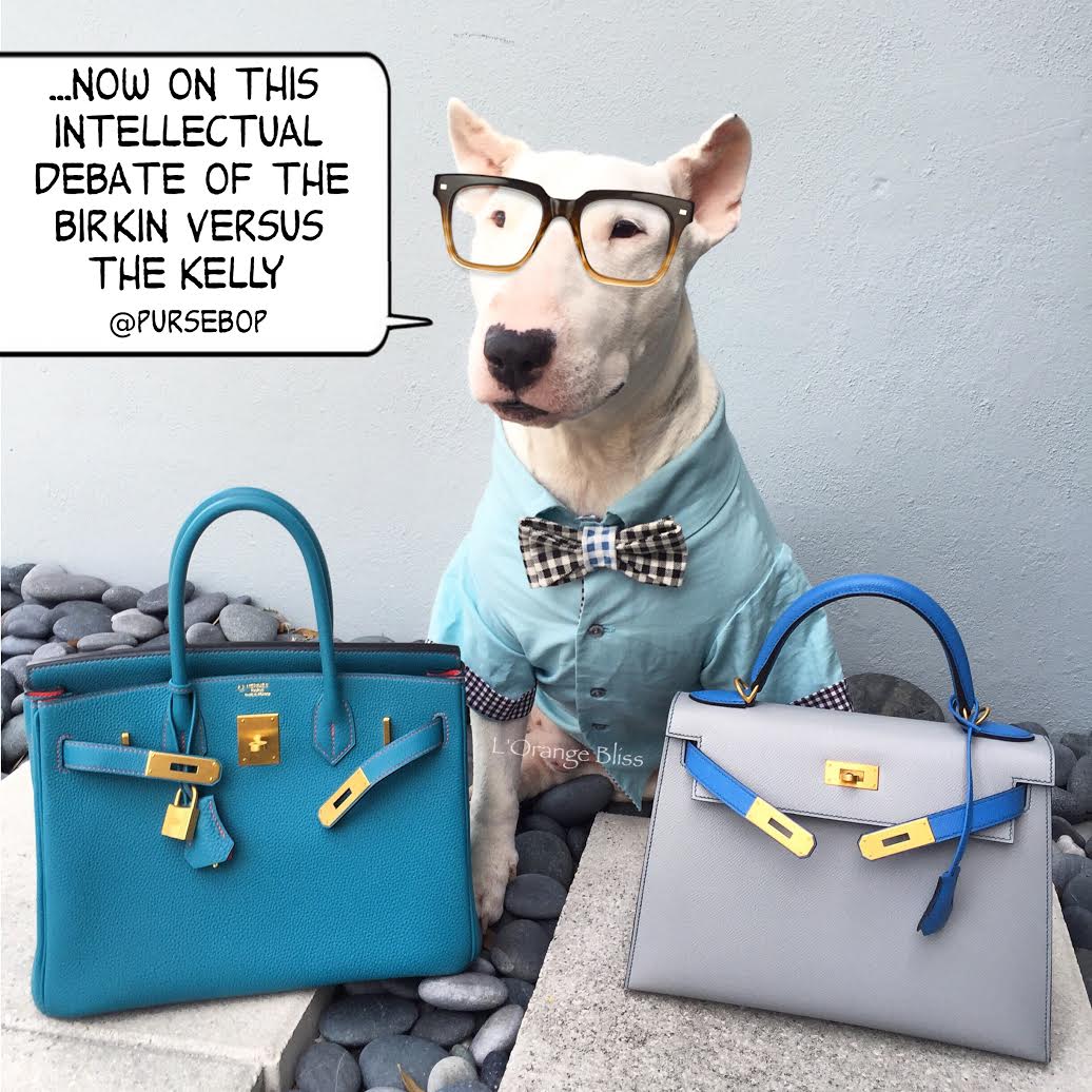 Hermes Birkin vs. Kelly 101 - PurseBop