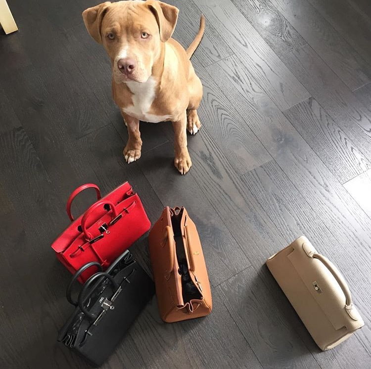 Last Look At My Office Space / Designer Handbag Collection Before