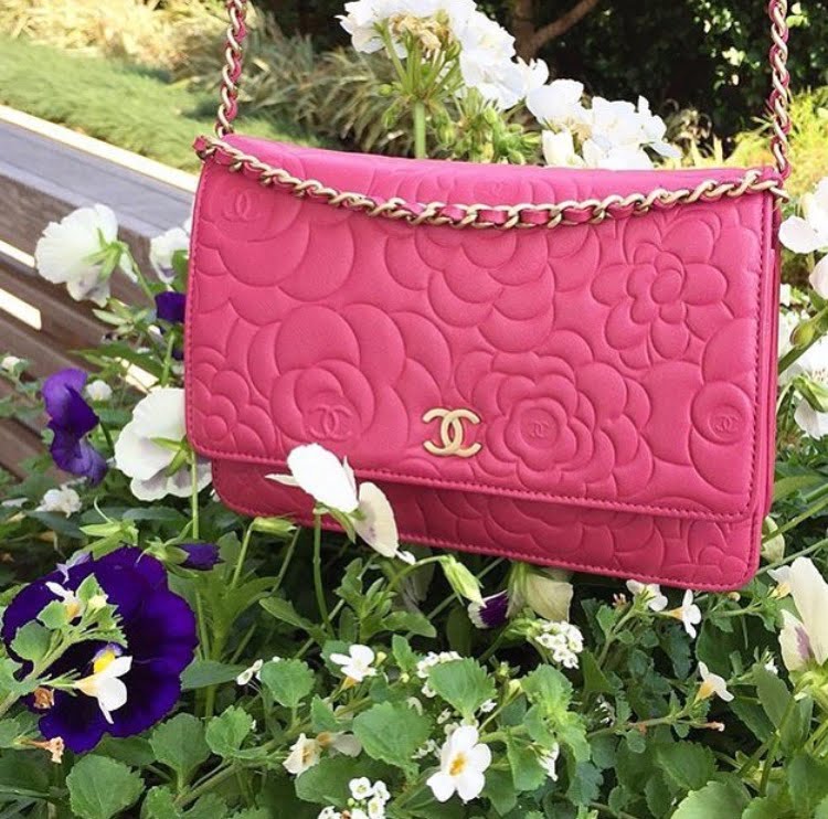 The Chanel Wallet on Chain and 10 Affordable WOC Alternatives - PurseBop