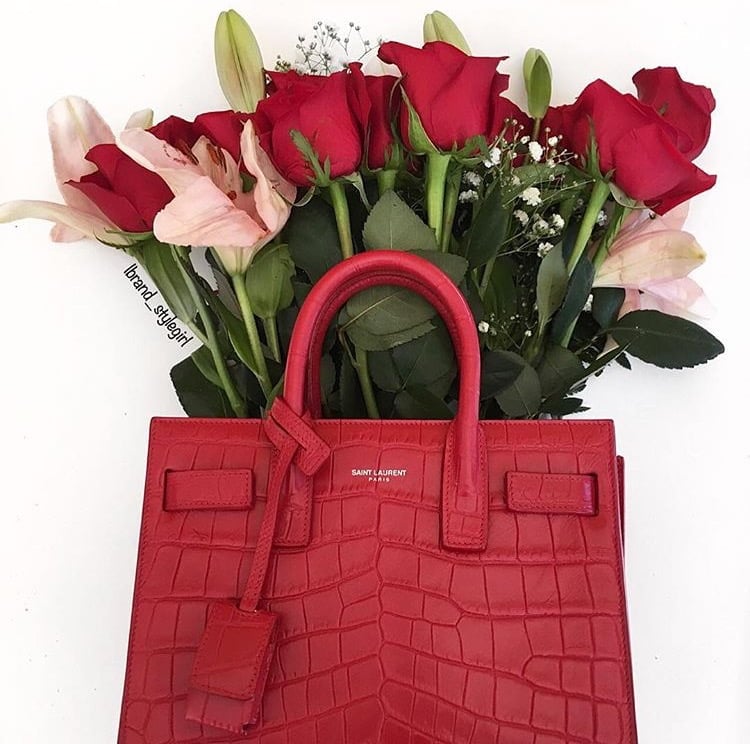 Delvaux Brillant Mini, Luxury, Bags & Wallets on Carousell