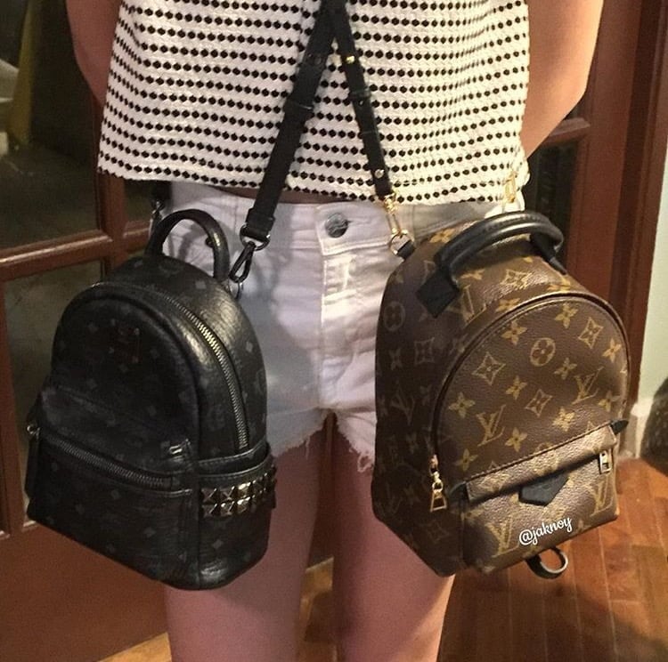 YAY or NAY: Mini Backpacks?  Bags, Louis vuitton bag, Fashion bags