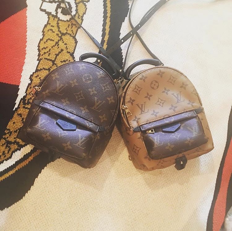 YAY or NAY: Mini Backpacks?  Bags, Louis vuitton bag, Fashion bags