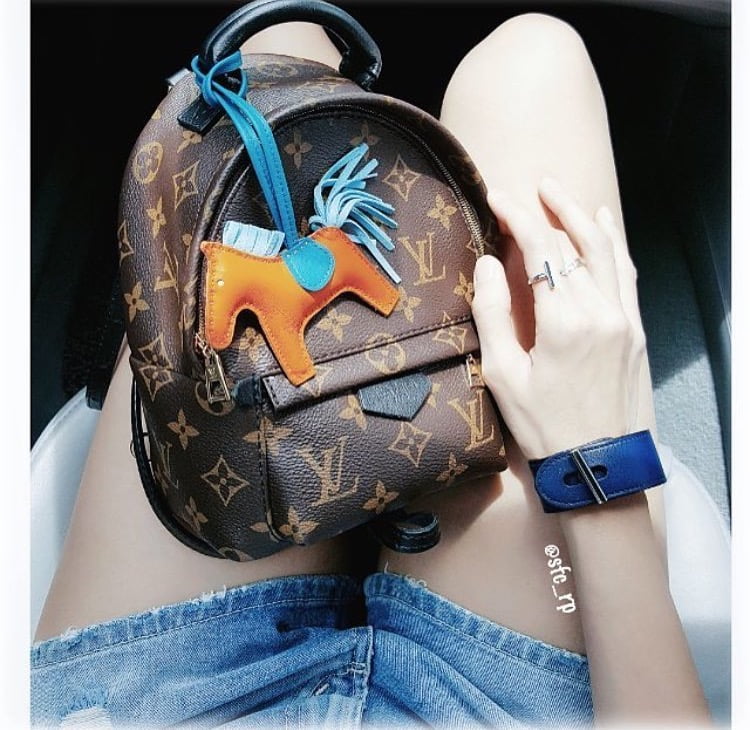 Louis Vuitton Palm Springs Backpack Mini Review