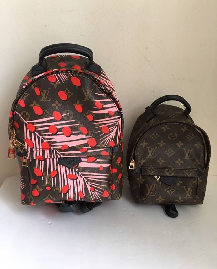 Louis Vuitton Palm Springs Backpack Mini Review