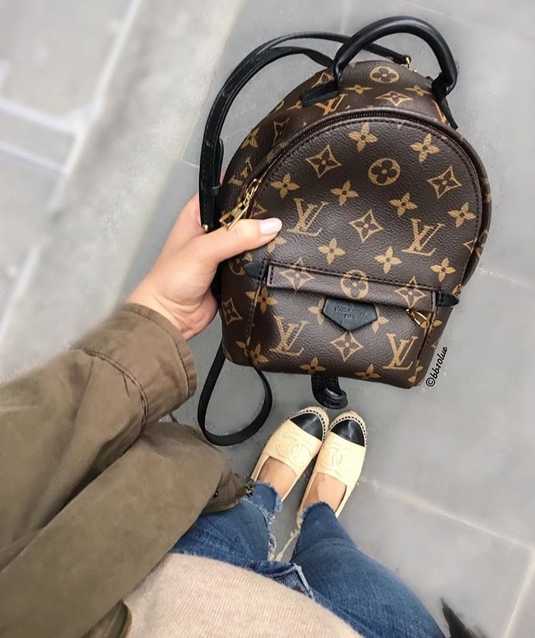 Louis Vuitton Palm Springs Backpack Mini Review