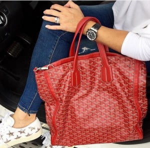 Spotlight on the Goyard Mini Anjou Tote - PurseBop