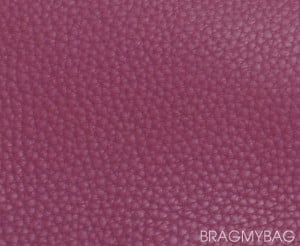 evelyne clemence bragmybag pursebop