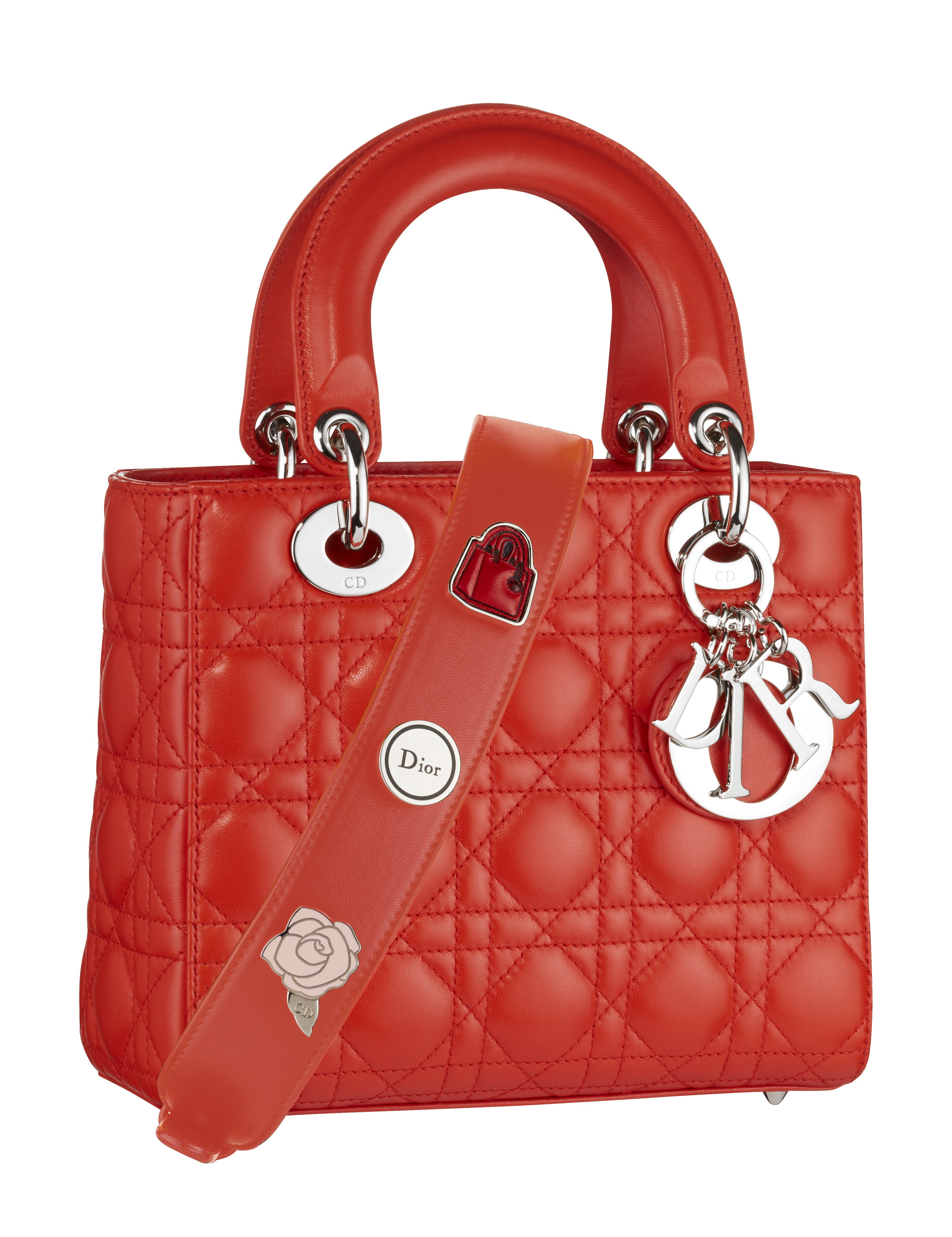 Lady Dior Small Pins - RED