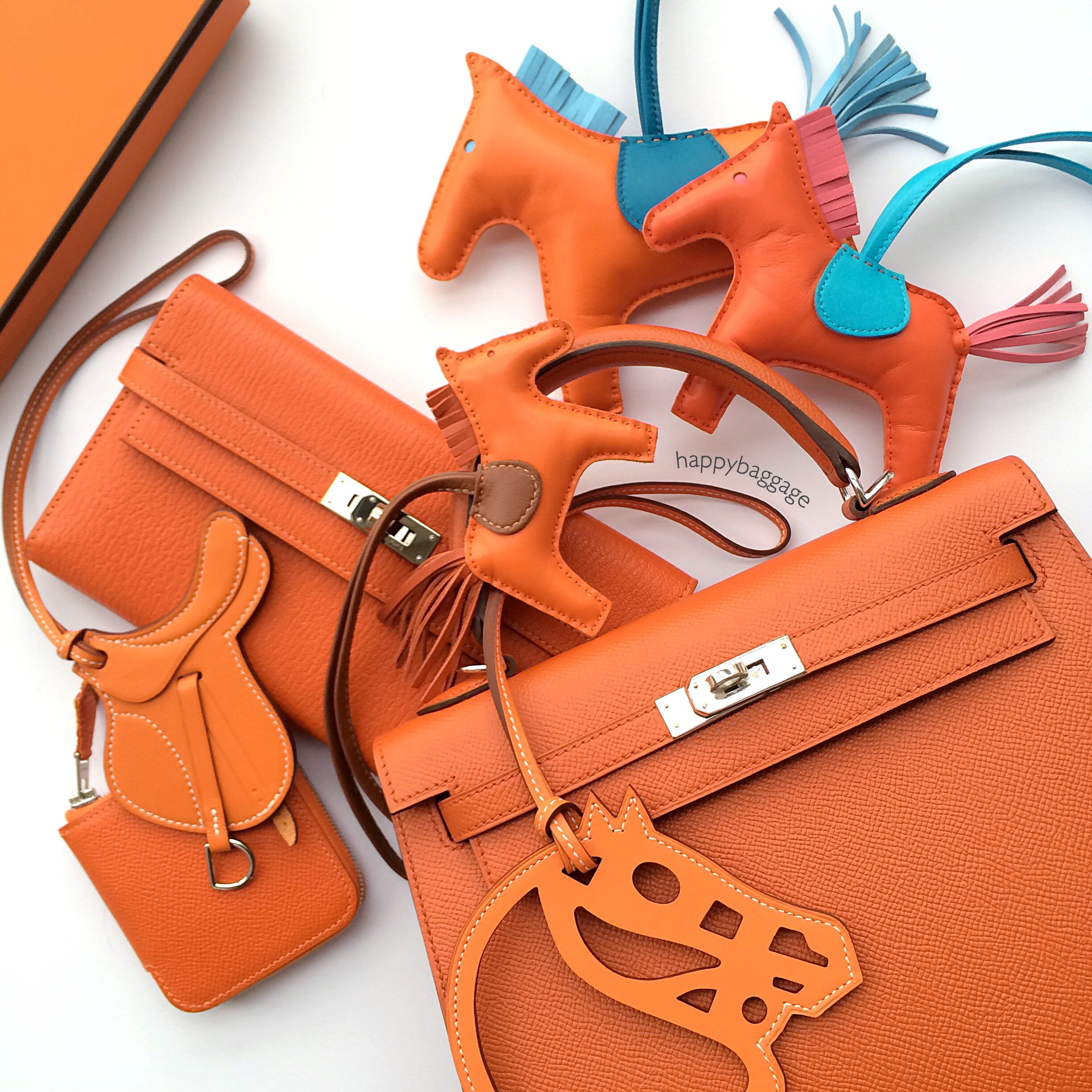 Hermes Birkin Bag in Signature Orange