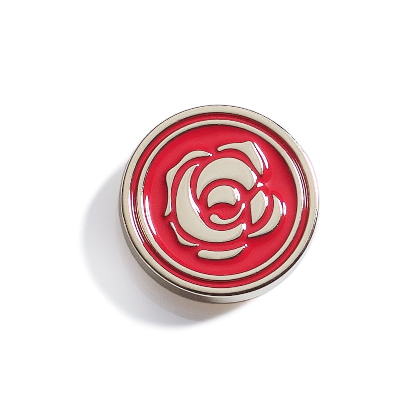 pins17
