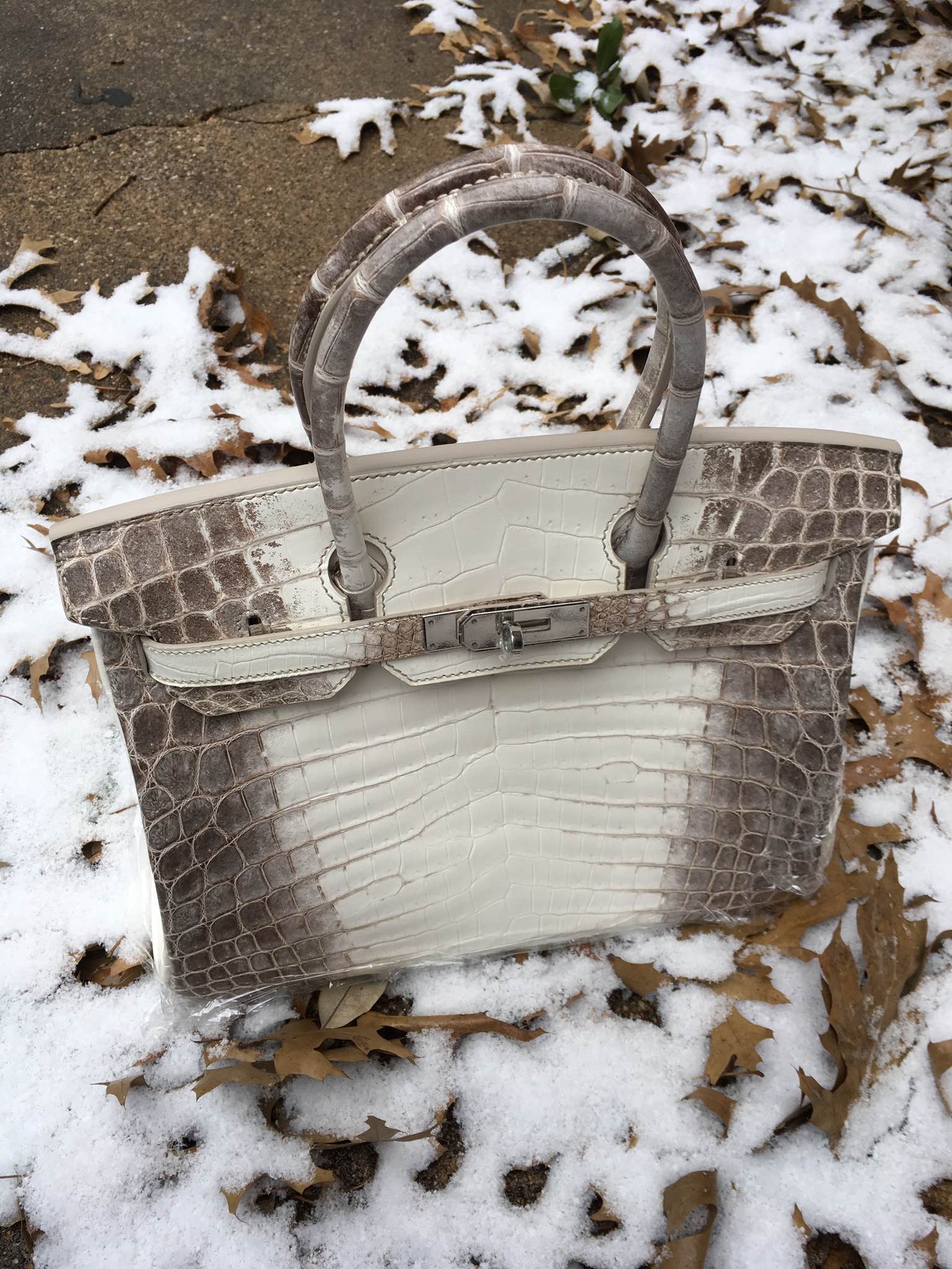 The Ultimate Hermès Handbag: Close Look at Himalaya Kelly - PurseBop