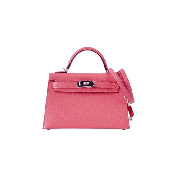 The Hermes Mini Bag Craze - PurseBop