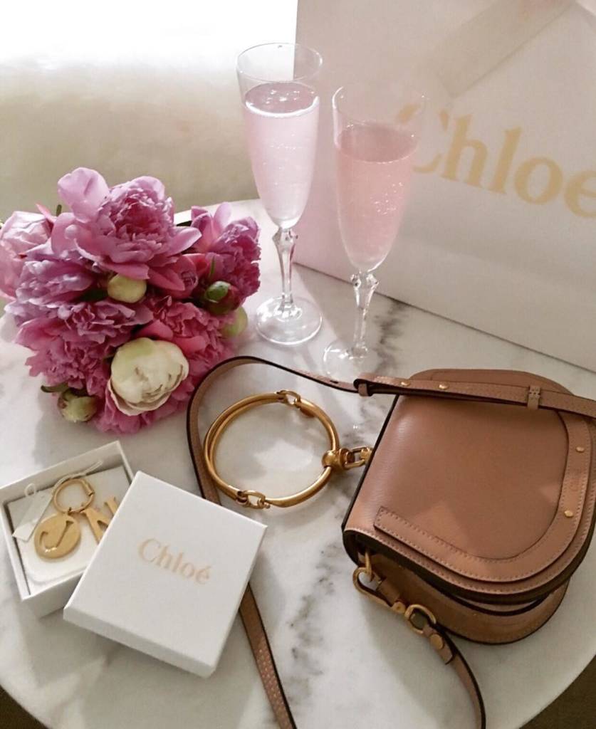 Best-Selling Chloé Nile Minaudière Bag – Inside The Closet