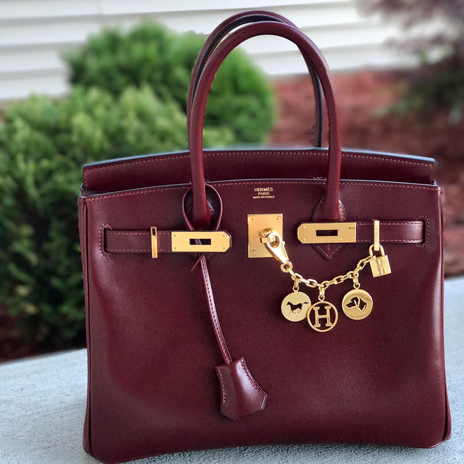 Reveal time! Read the story and review of BopTalk Celebrity StylishSheba's Hermes  Birkin 25.