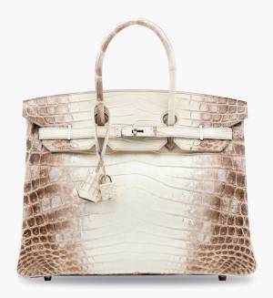 Influential Women Who Carry a Himalaya Birkin - PurseBop