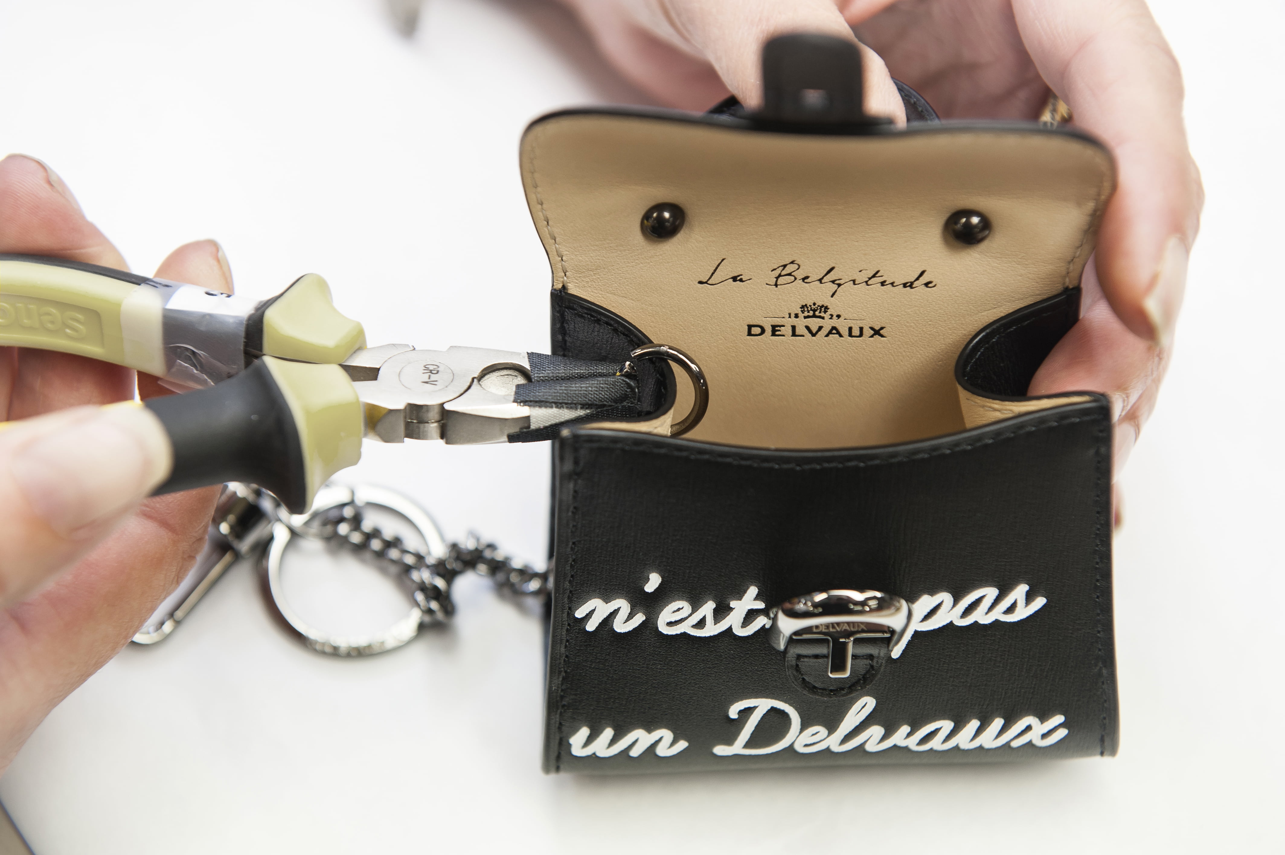 Delvaux charm on sale