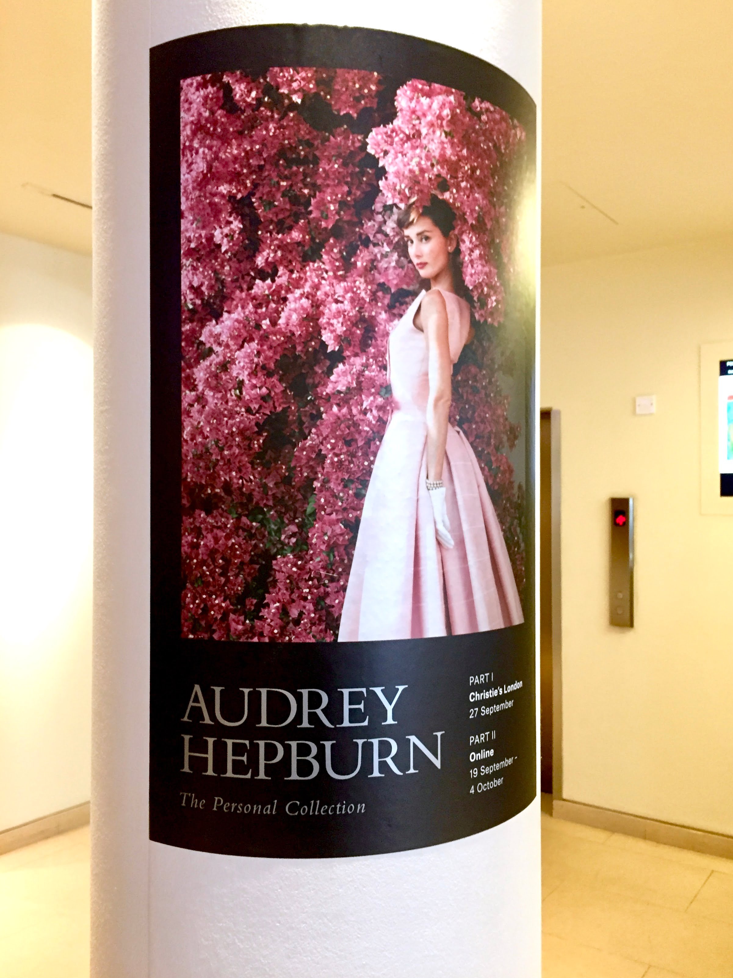 12 Audrey with Speedy 25 ideas  audrey, audrey hepburn style, audrey  hepburn