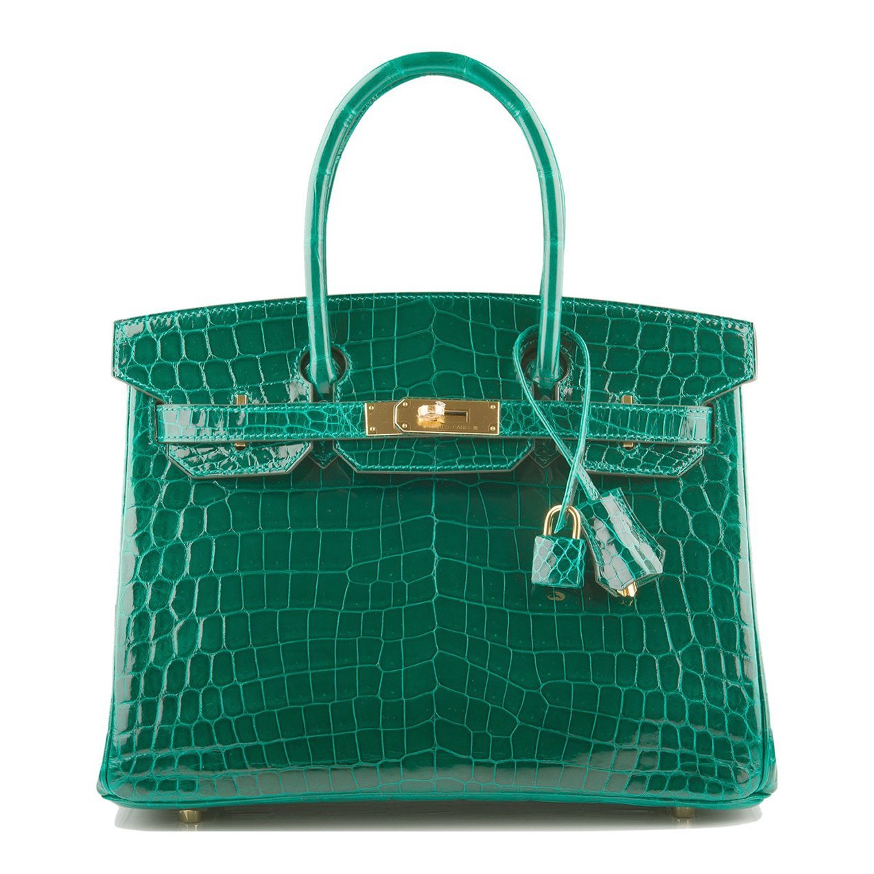 alligator skin birkin