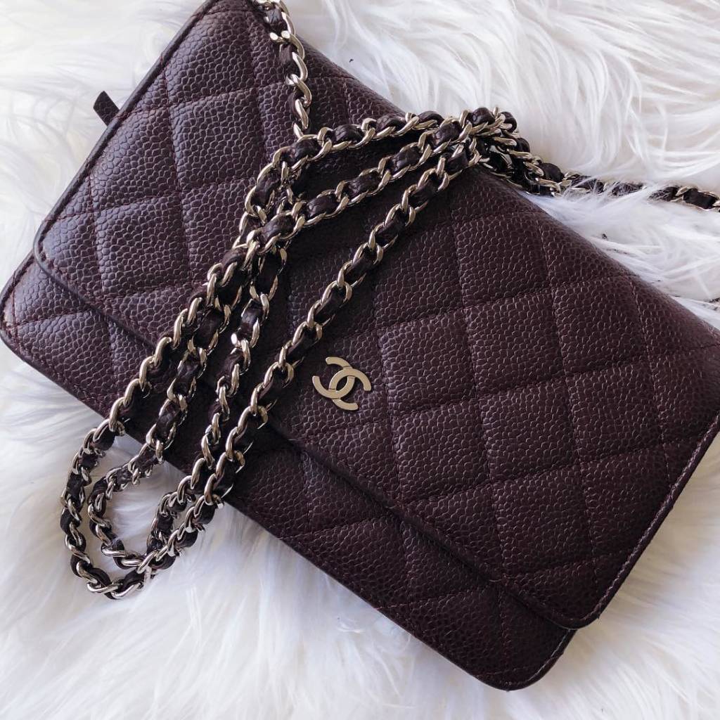 Bag-a-vie Purse Pillow Insert Fits Chanel Handbag Shapers for 