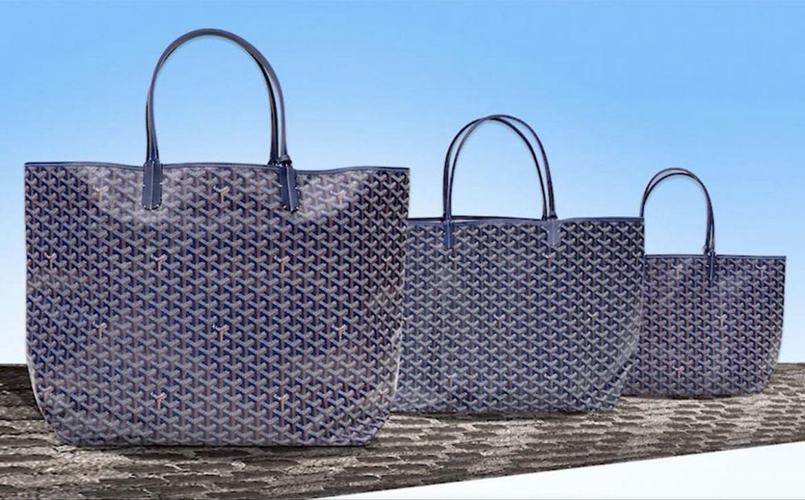 Goyard Saint Louis Tote Pm Vs Gm