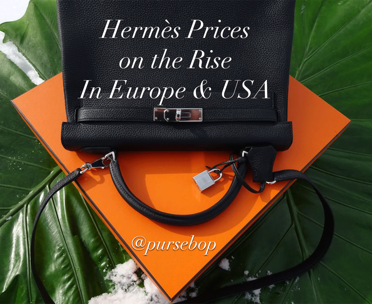 hermes price 2019