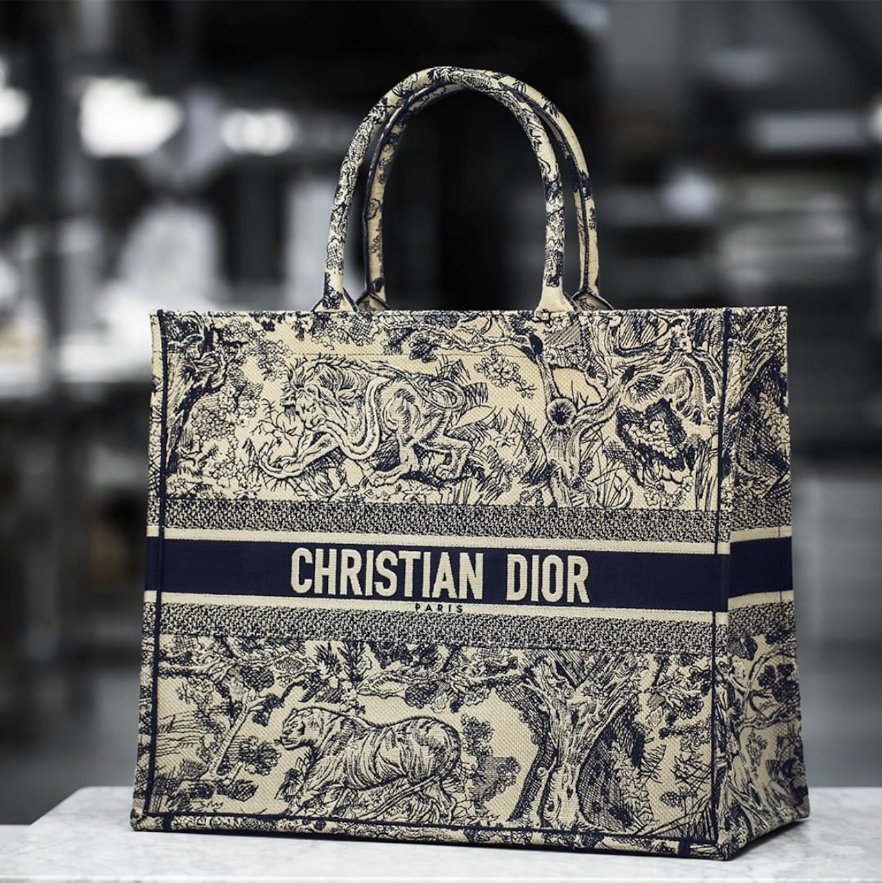 christian dior book tote review