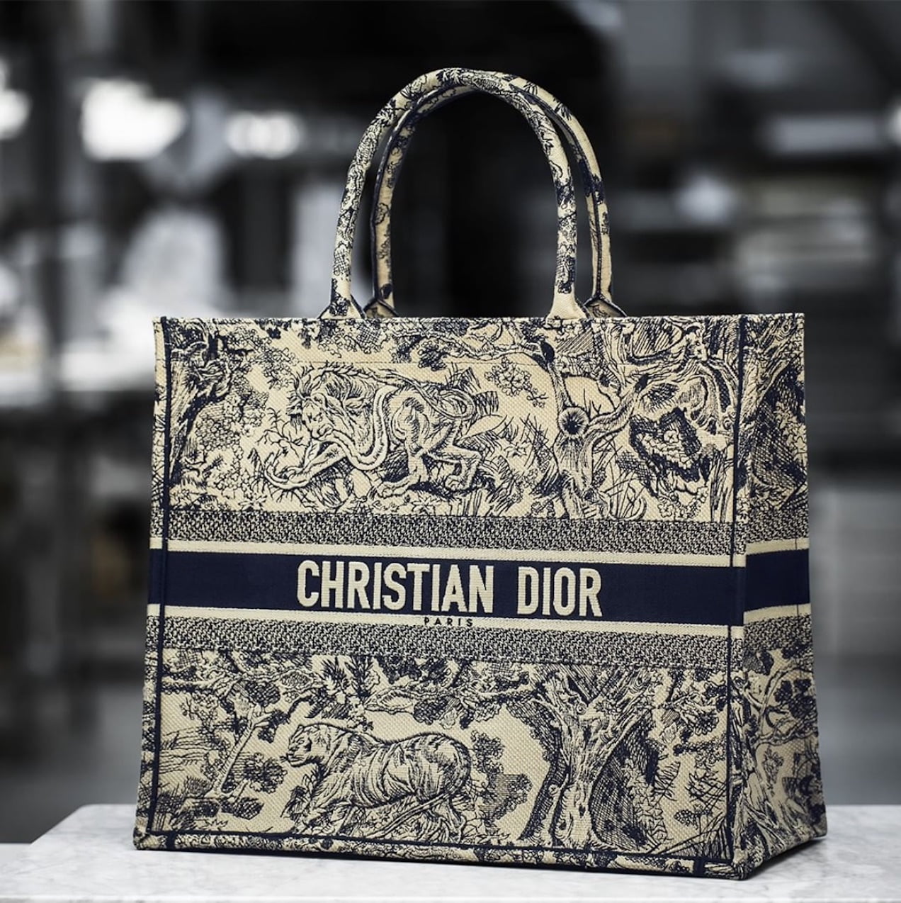 vintage dior tote bag