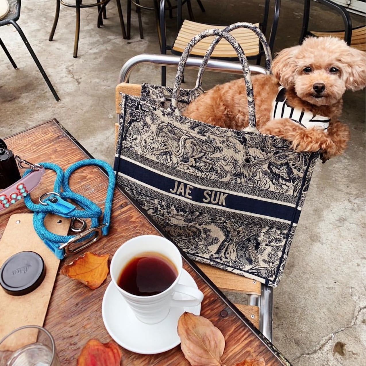 There's a New Small Dior Book Tote in Town - PurseBop