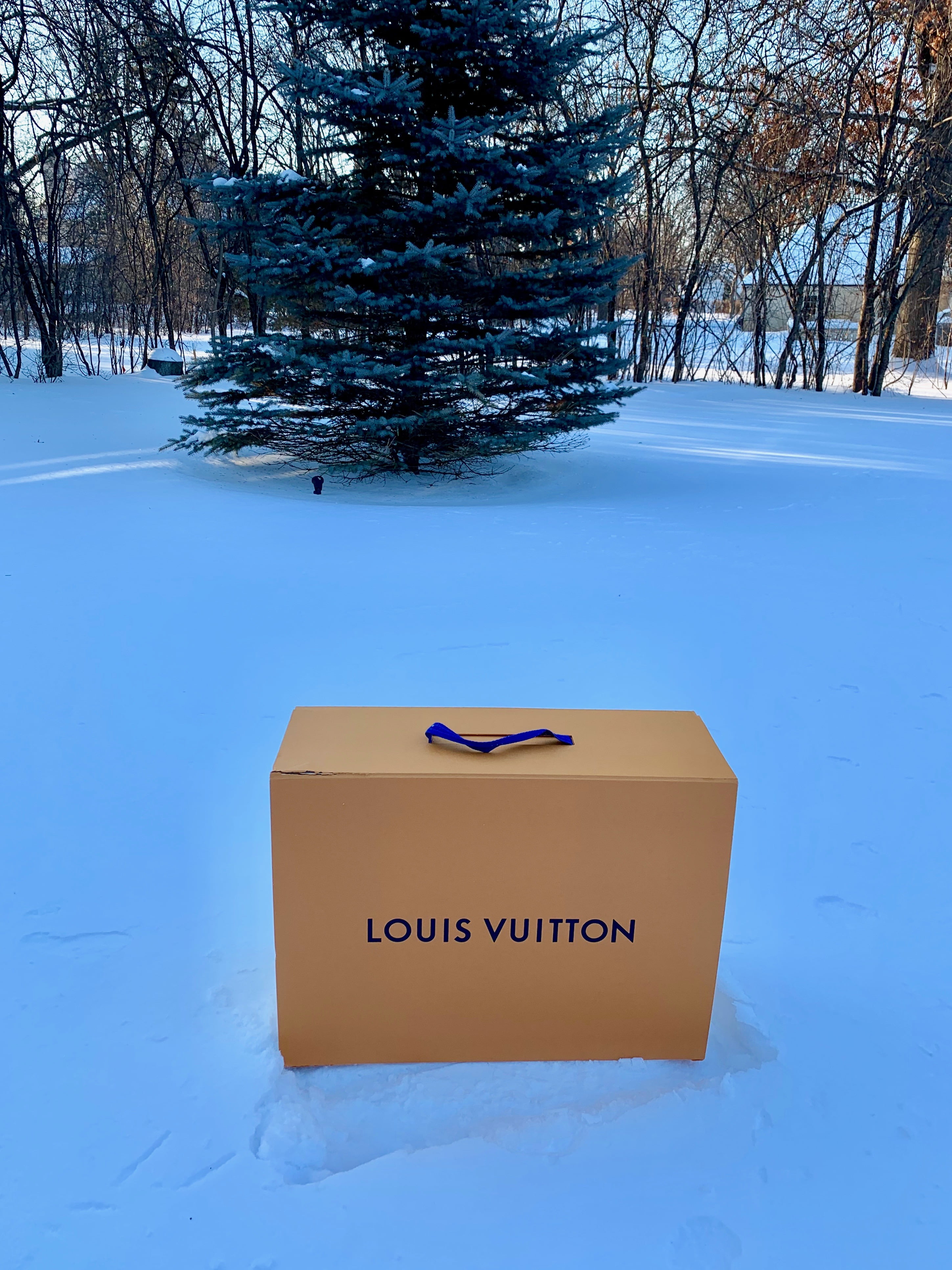 louis vuitton big box