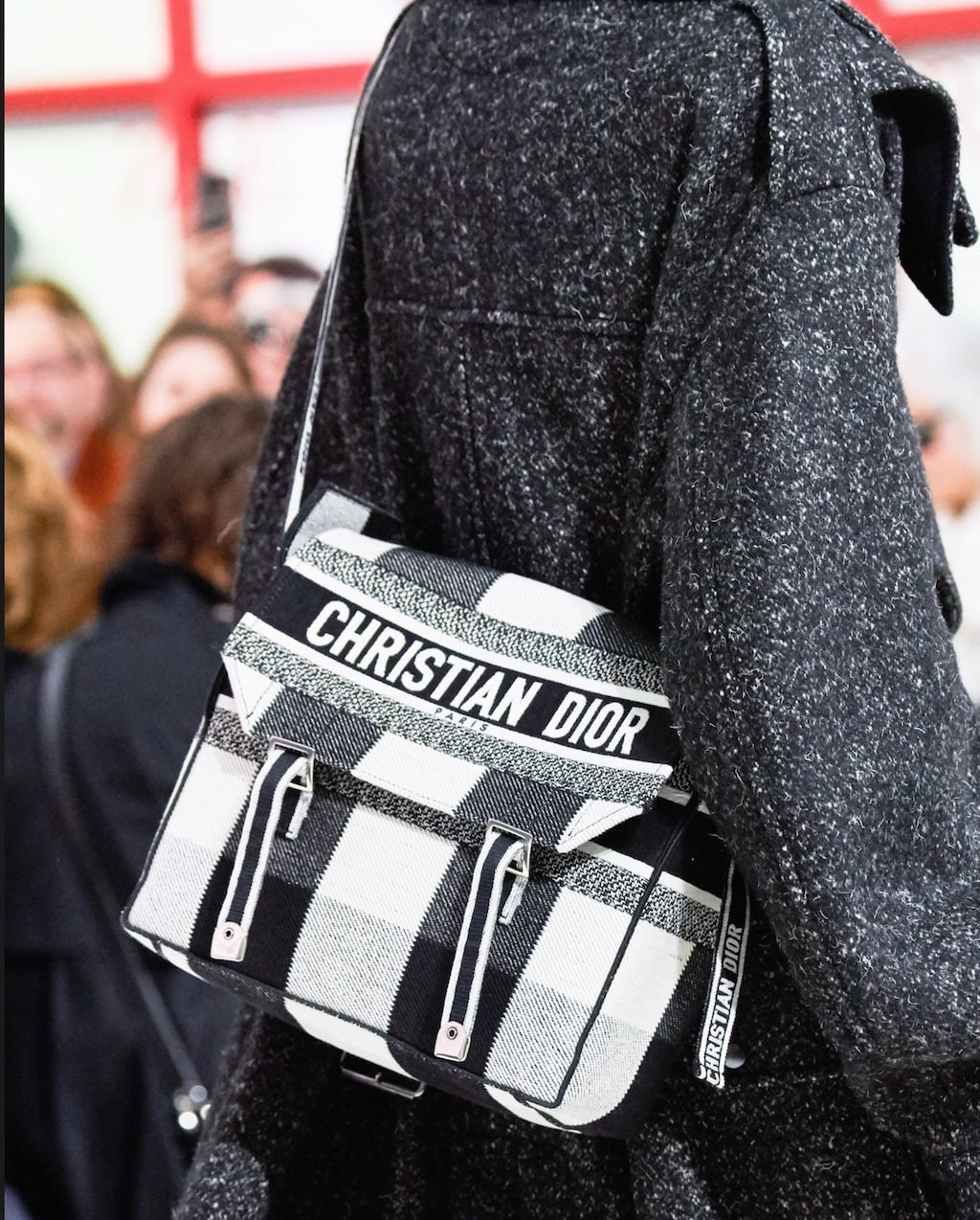 dior fall 2019 bags