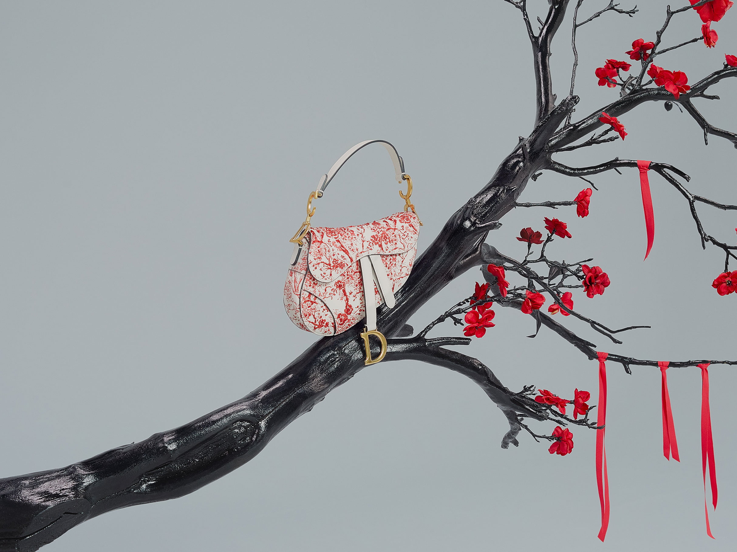 Dior Celebrates the Chinese New Year with Capsule Collection - PurseBop