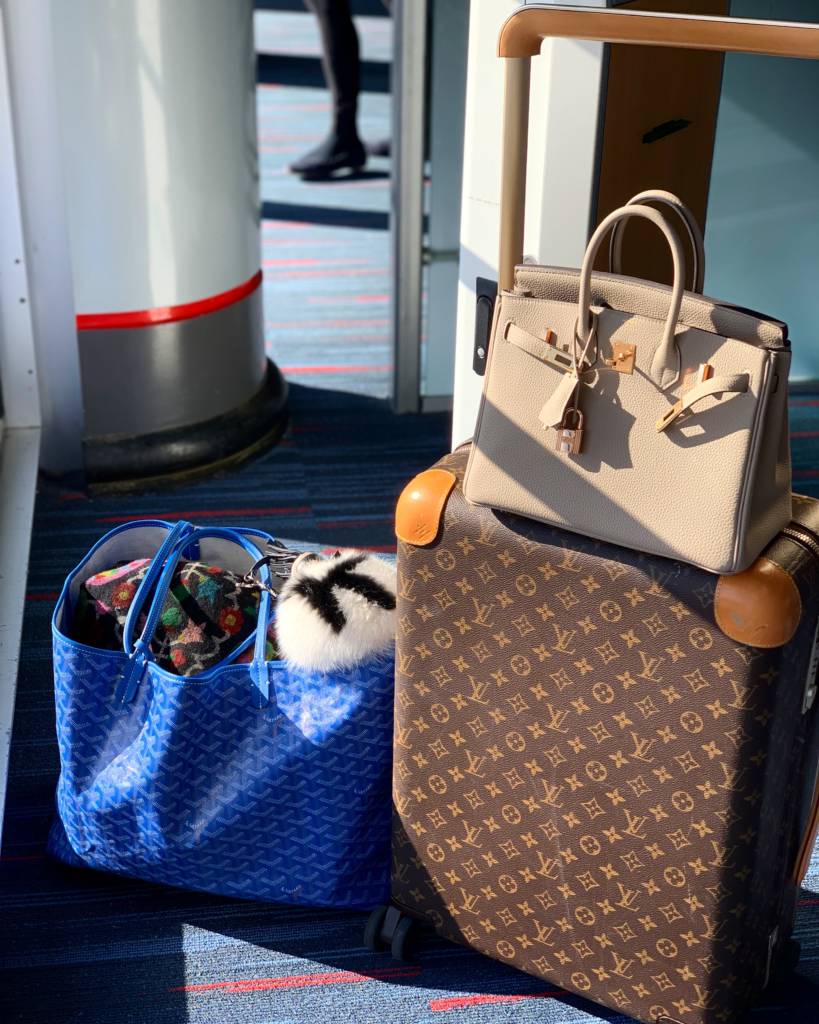 Mr. PurseBop Reveals the Louis Vuitton Luggage - PurseBop