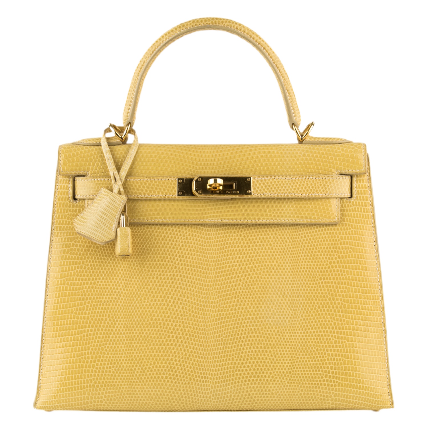 Influential Women Who Carry a Himalaya Birkin - PurseBop