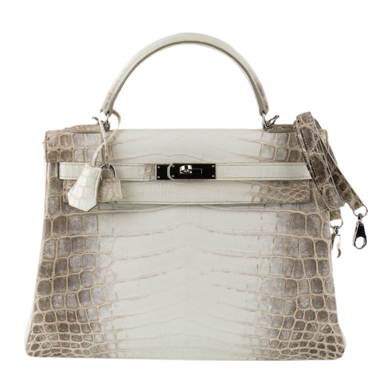 Influential Women Who Carry a Himalaya Birkin - PurseBop